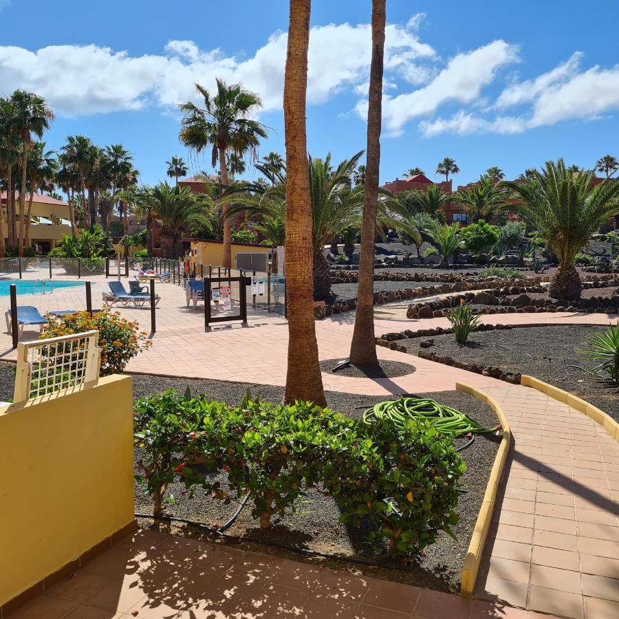 Apartament Oasis Royal F217 Corralejo Zewnętrze zdjęcie